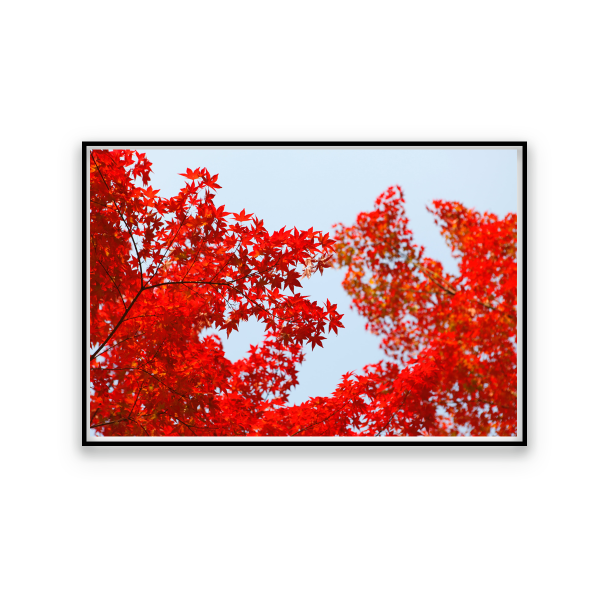 Toile Scénique Automne 60x80