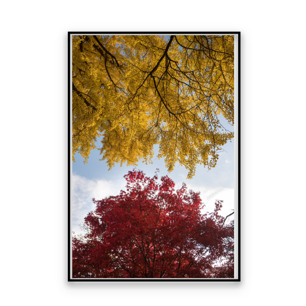 Toile Scénique Automne 60x80
