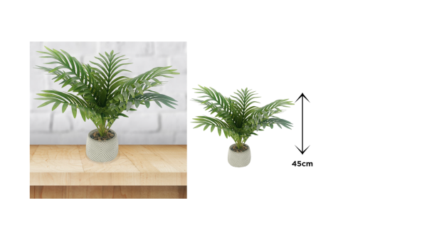 LAUREN TAYLOR - Fern in Cement Pot