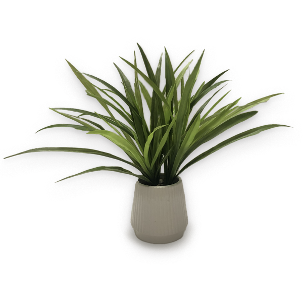 Tall Leaf Plant In White Ceramic Pot 54*42