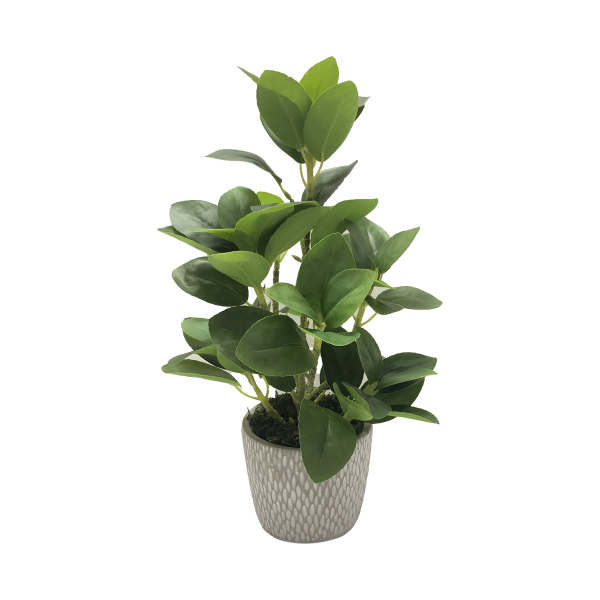 Plant In Textured Cement Pot 26*41