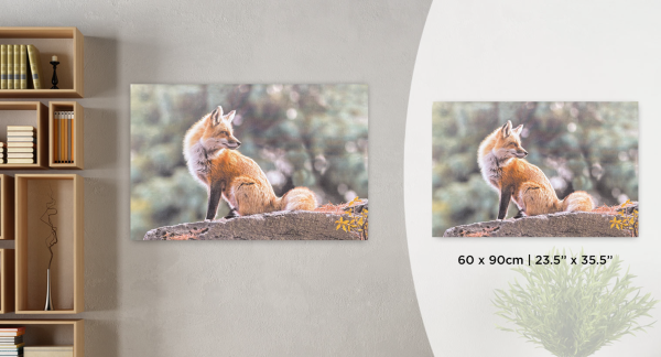 Fox Printed Canvas