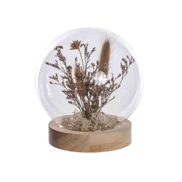 Fleurs séchées en cloche