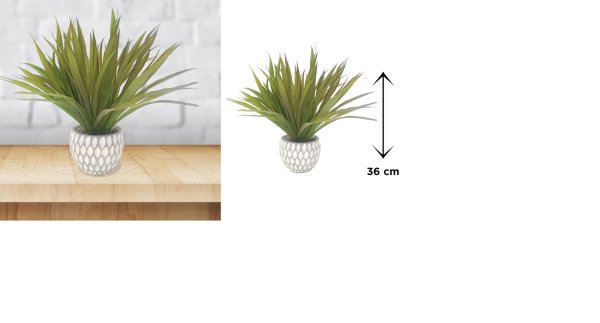 LAUREN TAYLOR -Artificial Plant Grass Cement
