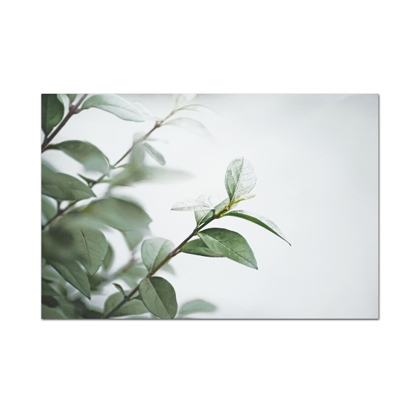 Canvas Green Plant 60x90in