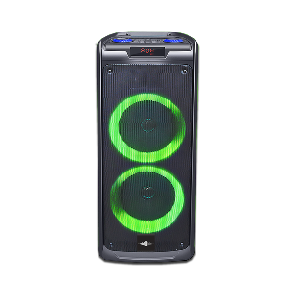 Double Haut-Parleur 8IN Rechargeable