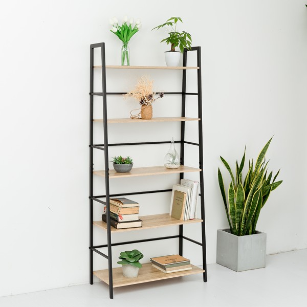 HASANTH 5 Tier Ladder Bookcase with Metal Frame