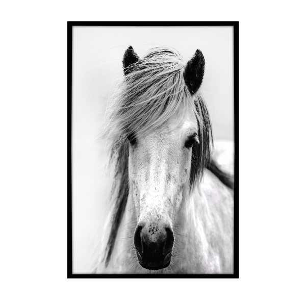Canvas Framed 75x115 Horse