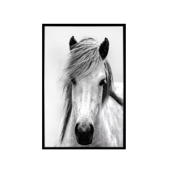 Canvas Framed 75x115