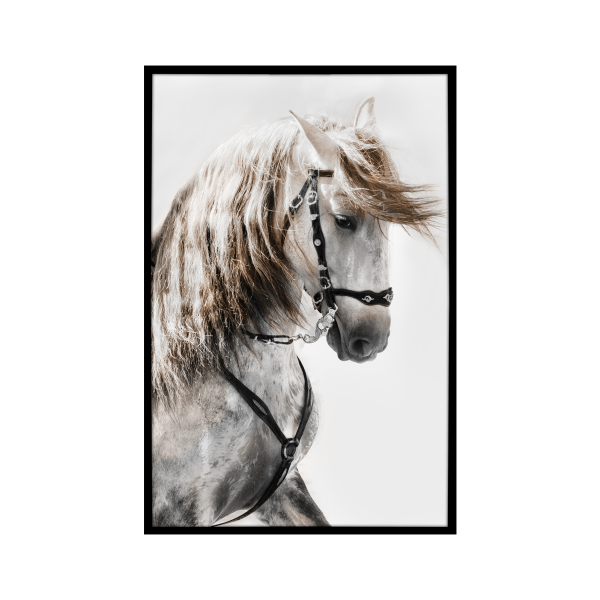 Canvas Framed 75x115