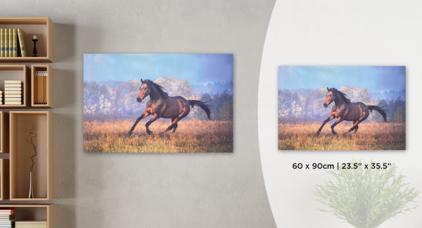 Horse Canvas