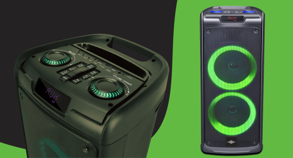 Double Haut-Parleur 8IN Rechargeable