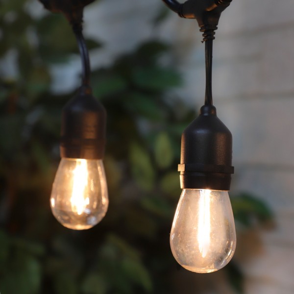 Guirlande de 12 ampoules DEL Edison S14