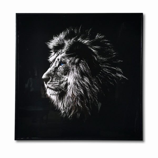 LAUREN TAYLOR-Canvas Animal 25