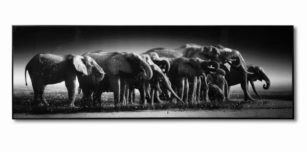 LAUREN TAYLOR-animal en toile 150X50X4.5 CM
