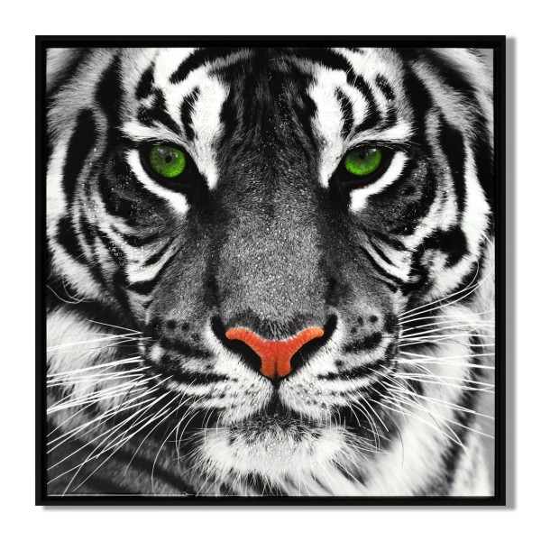 LAUREN TAYLOR- Animal en toile 63X63X3.5