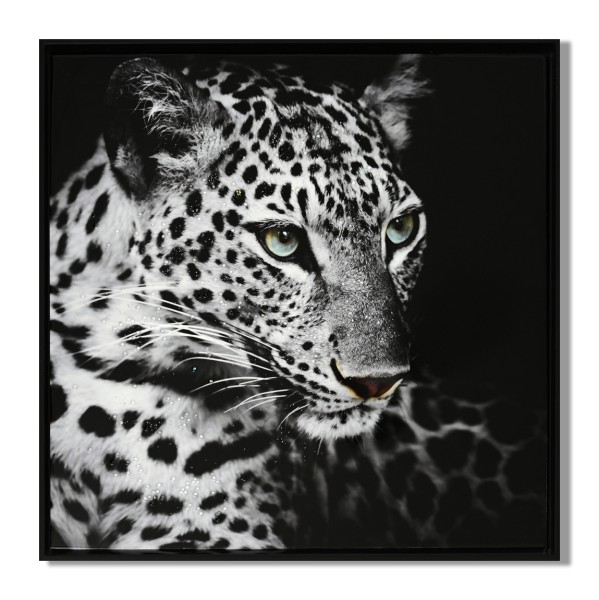 LAUREN TAYLOR- Animal en toile 63X63X3.5
