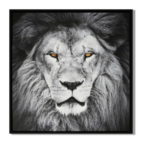 LAUREN TAYLOR- Animal en toile 63X63X3.5