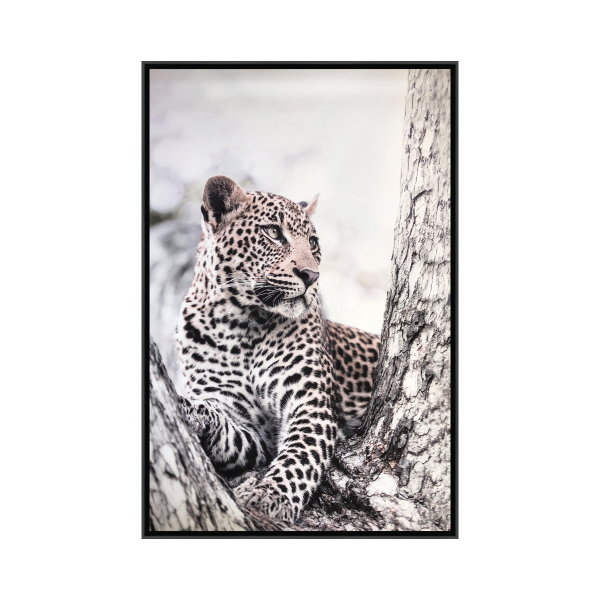 Jaguar Canvas Framed 75x115