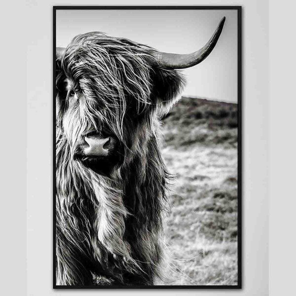 Lauren Taylor-ANIMAL CANVAS