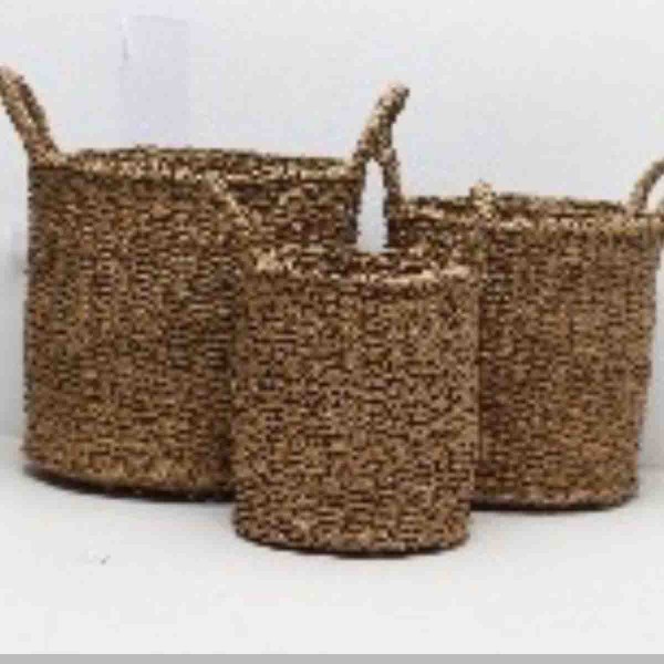 Lauren Taylor-Braided Seagrass Round Basket