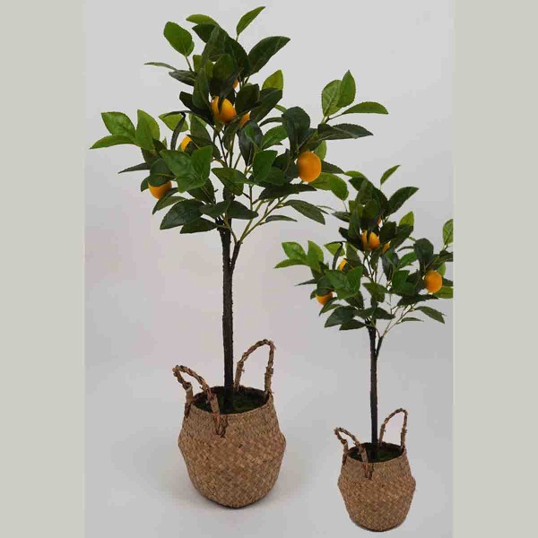 Lauren Taylor - Artificial Lemon Tree in Wicker Pot