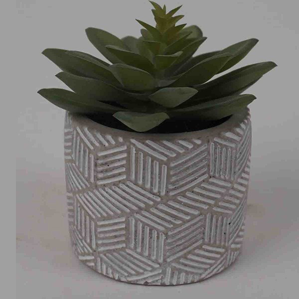 Lauren Taylor - Artificial Stout Succulents in Grey Cement Pots