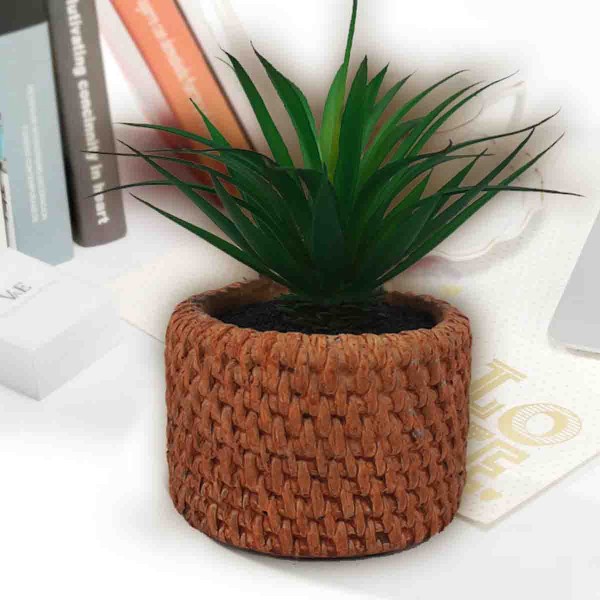 Lauren Taylor - Succulente artificielle dans un pot en ciment