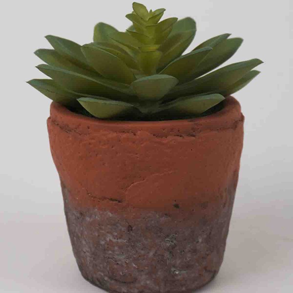 Lauren Taylor - Succulente artificielle dans un pot en terre cuite