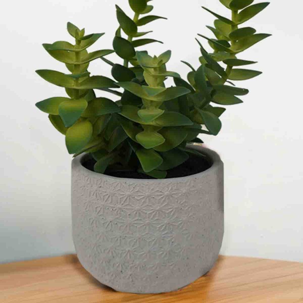 Lauren Taylor - Artificial Succulent in White Ceramic Pot