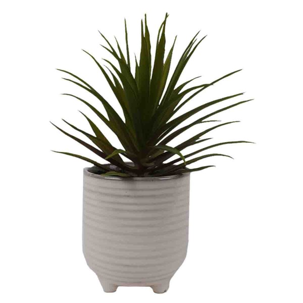 Lauren Taylor - Artificial Succulents in Clay & White Footed Pots