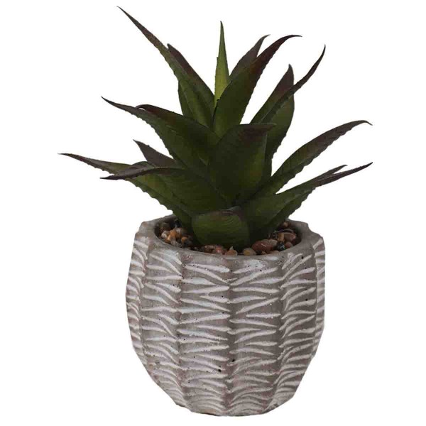 Lauren Taylor - Artificial Succulents in Grey Cement Pots