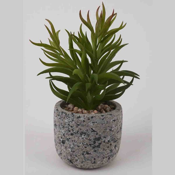 Lauren Taylor - Succulentes artificielles en pot de ciment gris 7