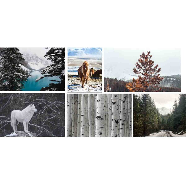 LAUREN TAYLOR - COUNTRY CABIN ASSORTED WALL ART