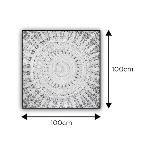 Medallion Canvas In Frame S22 100x100