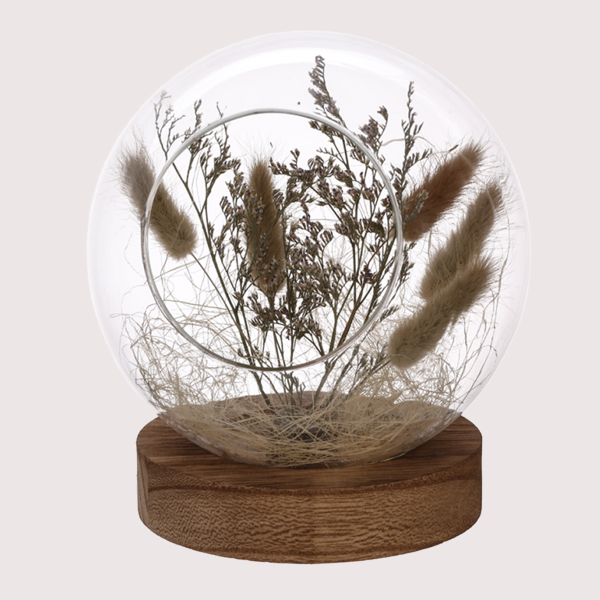 Lauren Taylor - Meadow Grass dans Open Globe
