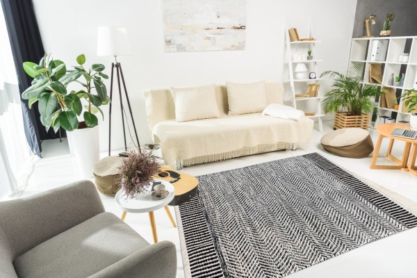 Rug Nisha Chev Cotton