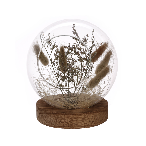 Lauren Taylor - Meadow Grass dans Open Globe