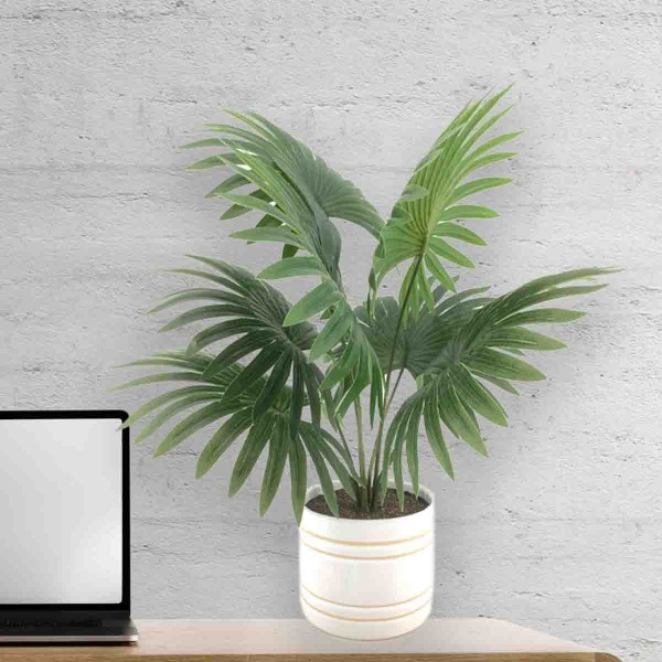 LAUREN TAYLOR - Palm in Ceramic Pot