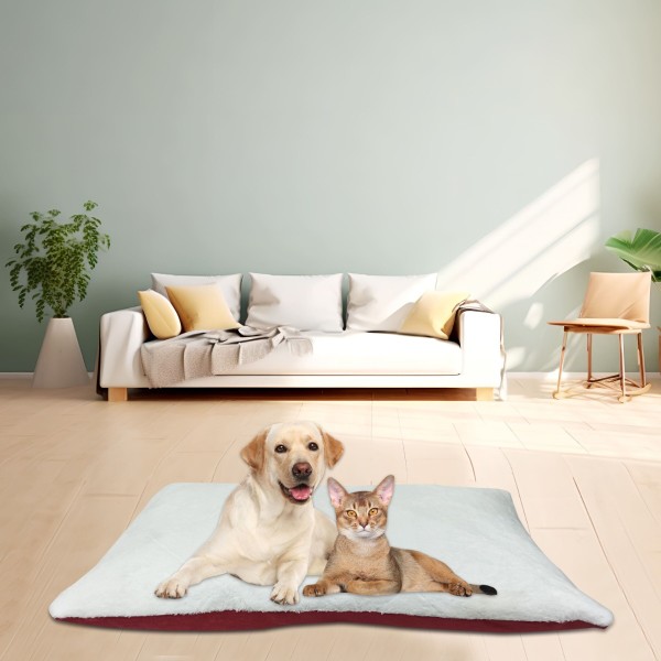 Paws And Whiskers - Pet Be 91x58 Cm
