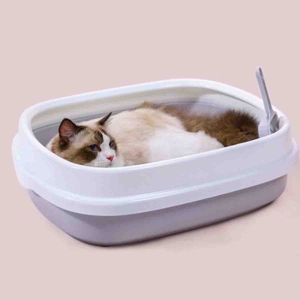 Paws & Whiskers - Litter Box