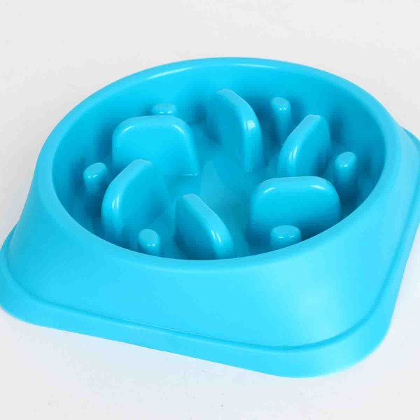 PAWS & WHISKERS - PET Slow Feeder Bowl