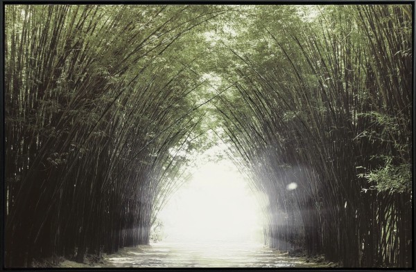 Canvas Forest Bridge & Path 75x115 W/frame