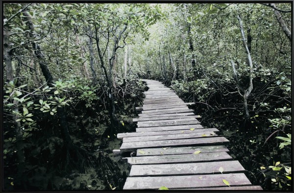 Canvas Forest Bridge & Path 75x115 W/frame