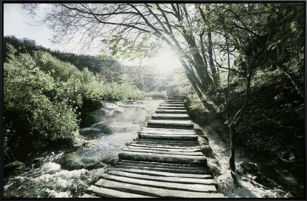 Canvas Forest Bridge & Path 75x115 W/frame