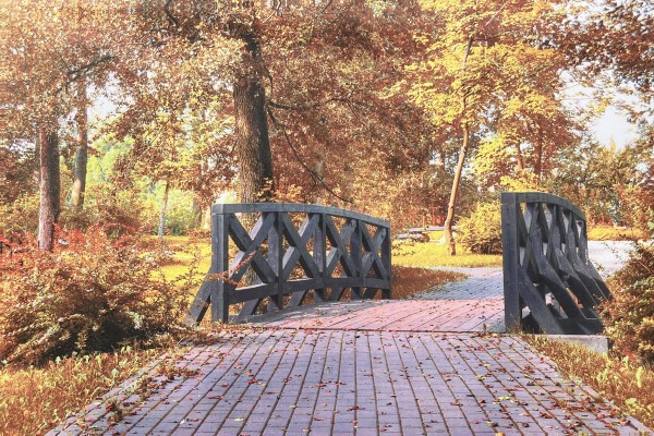 Lauren Taylor - Autumn Scene Printed Canvas