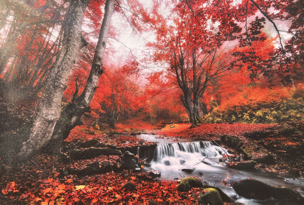 Lauren Taylor - Toile imprimée Scène d'automne à l'eau