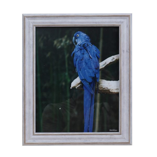LAUREN TAYLOR- Photo Frame White Wash Look