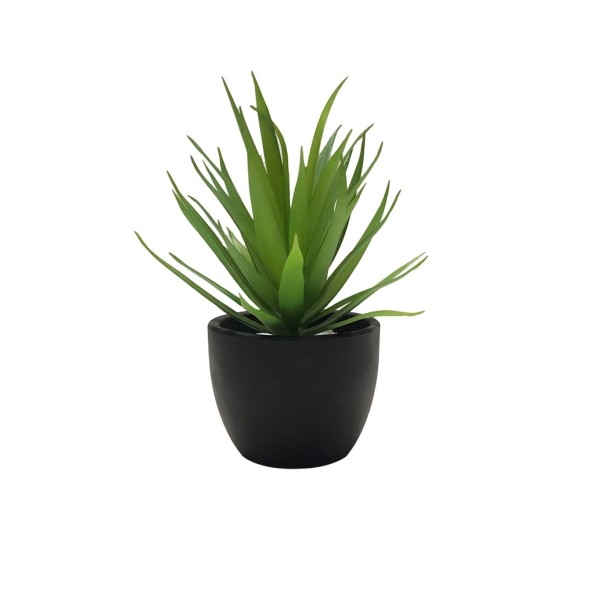 Pineapple Plant Black Ceramic Pot