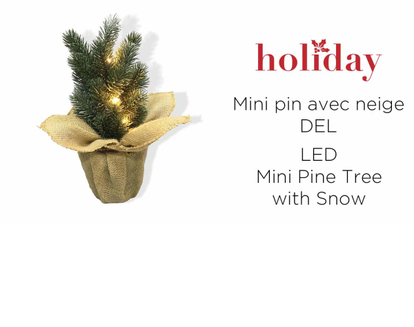 Mini sapin de Noël avec de la neige | 5 DEL 30 cm